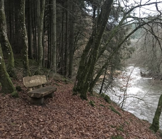 Eine Holzbank steht auf einem Laubweg im Wald, nahe einem fließenden Fluss, umgeben von Bäumen., © TI Bitburger Land