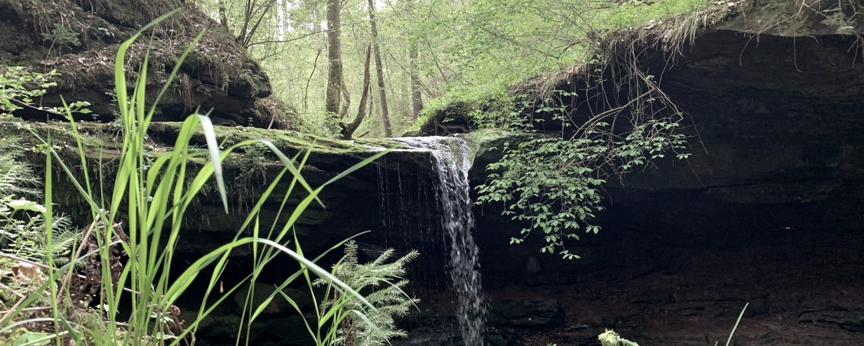 Une petite cascade s'écoule sur une arête rocheuse dans une forêt dense. Une végétation luxuriante entoure la scène., © B. Milbach