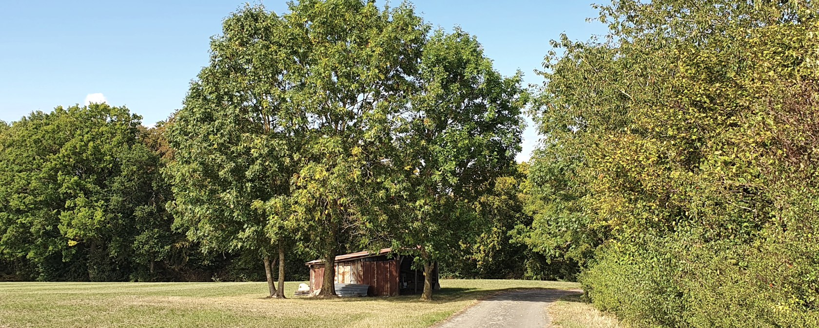 Petite grange sous des arbres dans une prairie, à côté d'un chemin. Ciel bleu et végétation verte., © TI Bitburger Land - Steffi Wagner