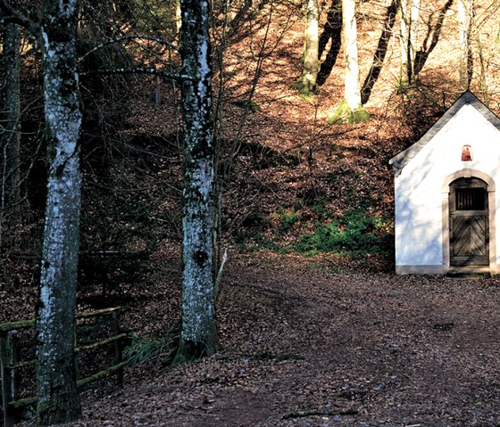 Chapelle blanche dans la forêt, entourée d'arbres et de feuilles d'automne. L'entrée est en bois, l'environnement semble calme et isolé., © TI Bitburger Land