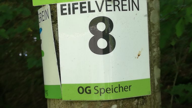 Ein Schild des Eifelvereins mit der Nummer 8 an einem Baum.