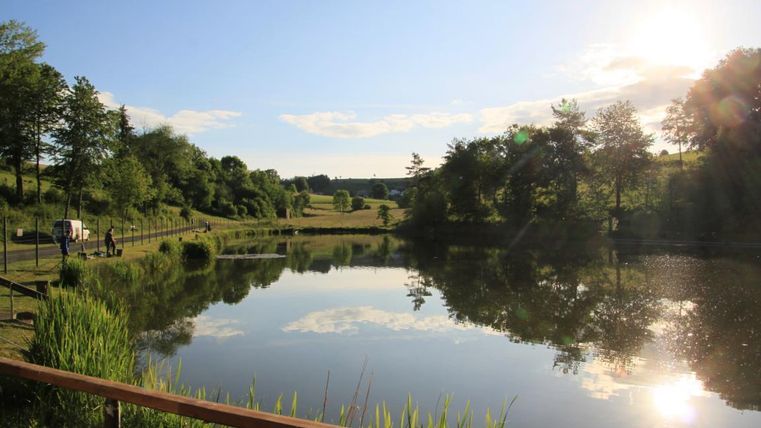 Ein ruhiger See umgeben von Bäumen und Wiese. Die Sonne spiegelt sich im Wasser und schafft eine entspannende Atmosphäre.