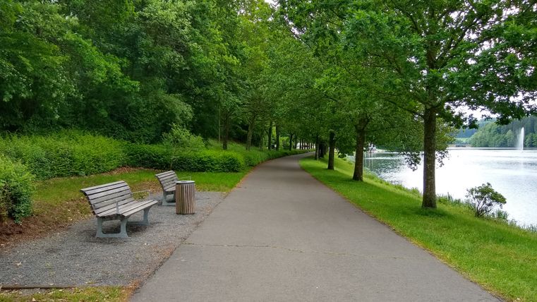 Ein asphaltierter Weg am Stausee Bitburg mit Bänken und Bäumen.