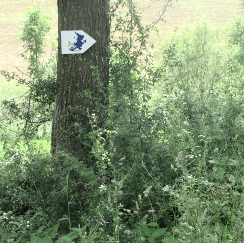 Nattenheimer Hexenweg 1, © Geschichtlicher Arbeitskreis Nattenheim