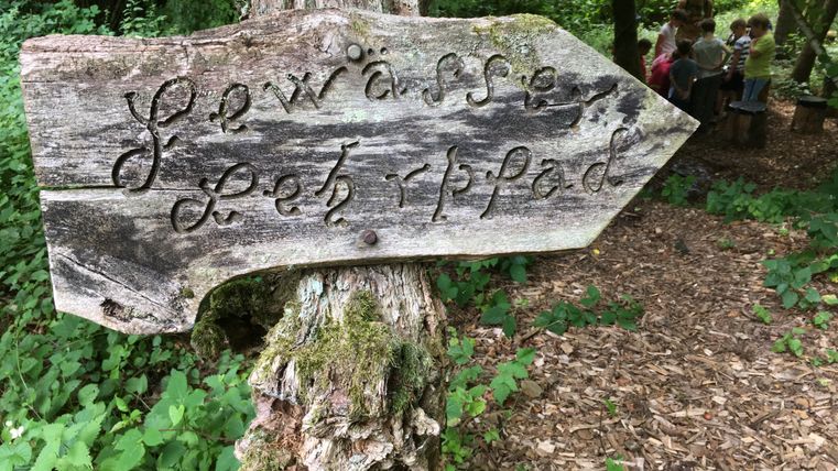 Wooden sign with the inscription 'Gewässer Lehrpfad' in the forest.
