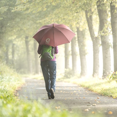 Regenwetter