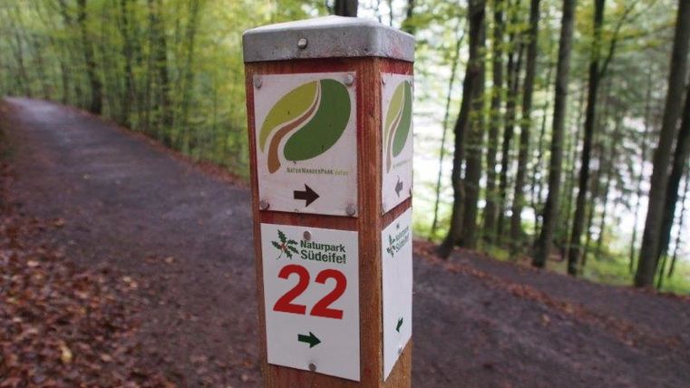 Wegweiser im Naturpark Südeifel mit der Markierung Route Nr. 22 im Wald.