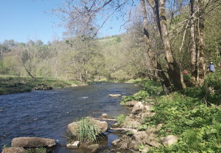 Une rivière coule à travers un paysage vert et arboré. Deux cyclistes sont visibles sur la rive droite. Le ciel est clair et bleu., © TI Bitburger Land_U. Hallet