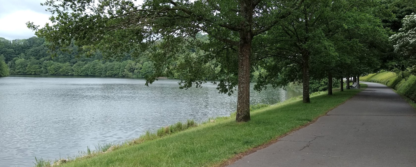 Asphalted path along the Bitburg reservoir, lined with trees and green grass, with a view of the water., © Naturpark Südeifel