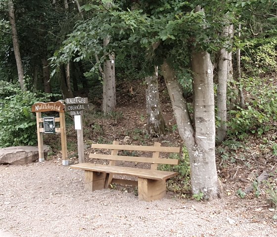 Houten bank en bord 'Walderlebnispfad' in het bos, omringd door bomen en planten., © TI Bitburger Land - Steffi Wagner