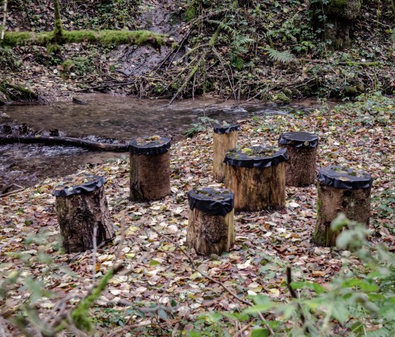 Baumstümpfe mit schwarzen Abdeckungen dienen als Sitzgelegenheiten am Ufer eines Baches im herbstlichen Wald., © Tourist-Info Bitburger Land