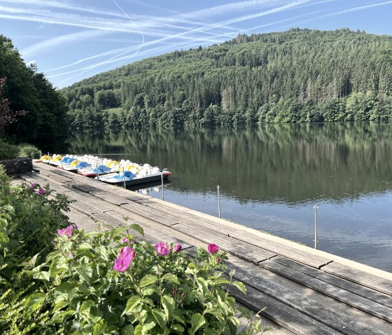 Pedal boats at the Bitburg reservoir, surrounded by green hills and blooming flowers in the foreground. The sky is blue with vapor trails., © TI Bitburger Land