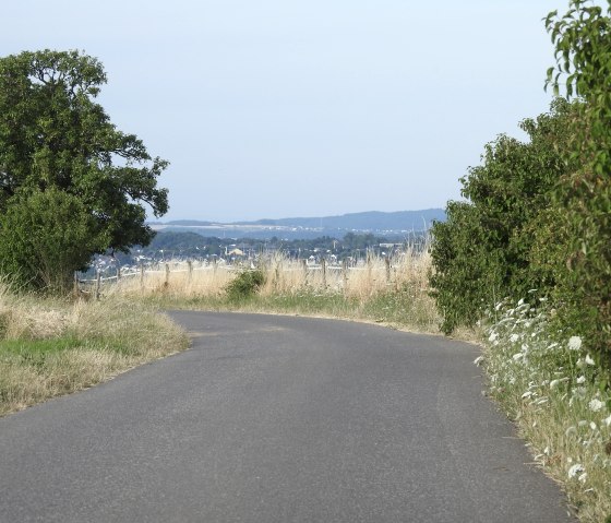 Eine asphaltierte Landstraße führt durch eine grüne Landschaft mit Bäumen und Wiesen. Im Hintergrund ist eine Stadt zu sehen., © Thomas Neises