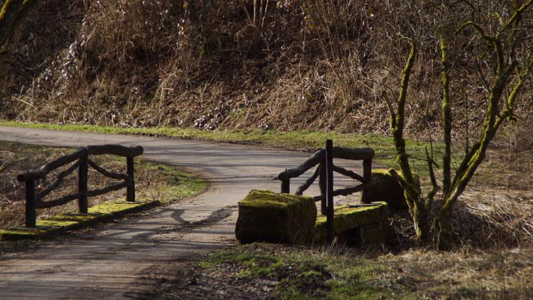 Een smal wandelpad met een kleine houten brug in een landelijke omgeving.