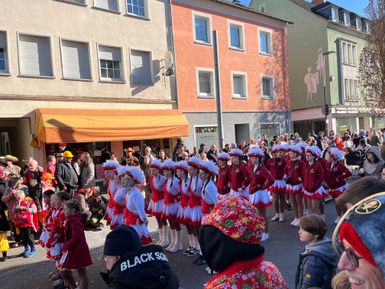 Ein Karnevalsumzug in Bitburg.