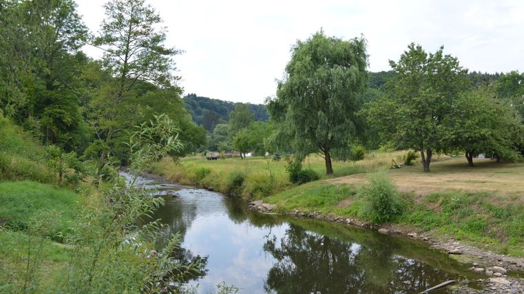 Een kleine rivier stroomt door een groen landschap van bomen en weiden.