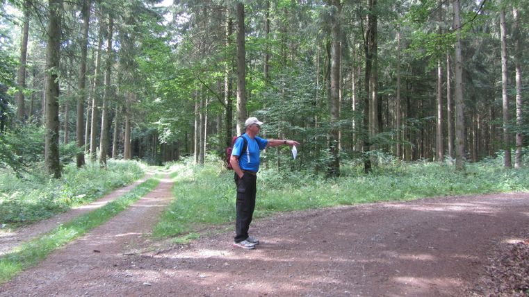 Ein Mann im blauen Shirt steht auf einem Waldweg und zeigt mit der Hand in eine Richtung.