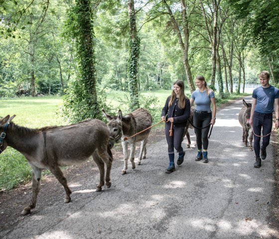 NENGSHOF_Eselwanderung&copy;Nengshof Carsten Lenz (1), &copy; Nengshof, Carsten Lenz