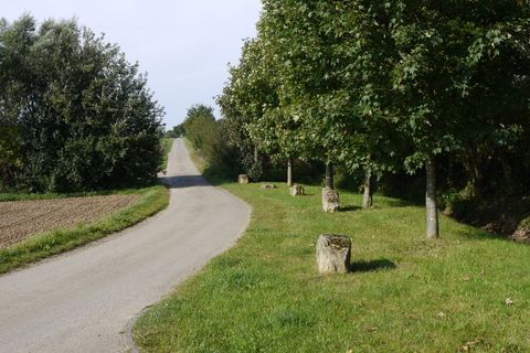 Ein asphaltierter Weg führt durch eine grüne Landschaft mit Bäumen und Wiesen.