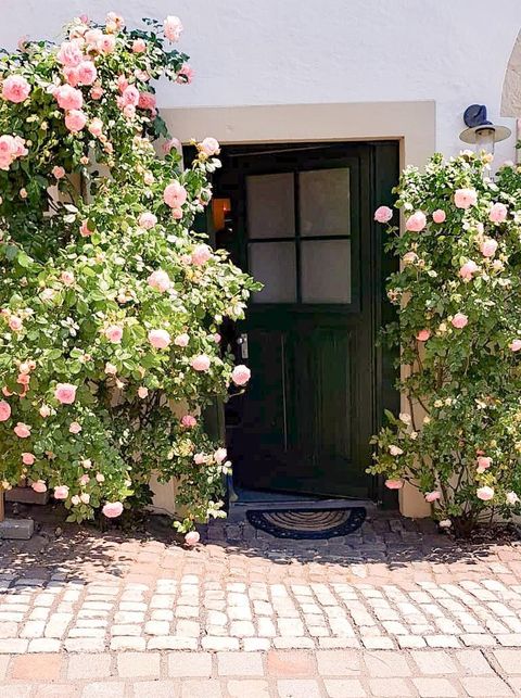 Une porte verte, entourée de roses fleuries aux douces teintes de rose. Le sol pavé donne une ambiance accueillante à l'entrée.