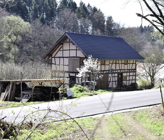 Fachwerkhaus mit blauem Dach in ländlicher Umgebung, umgeben von Bäumen und einem blühenden Baum im Vordergrund. Holzstapel neben der Straße., © TI Bitburger Land