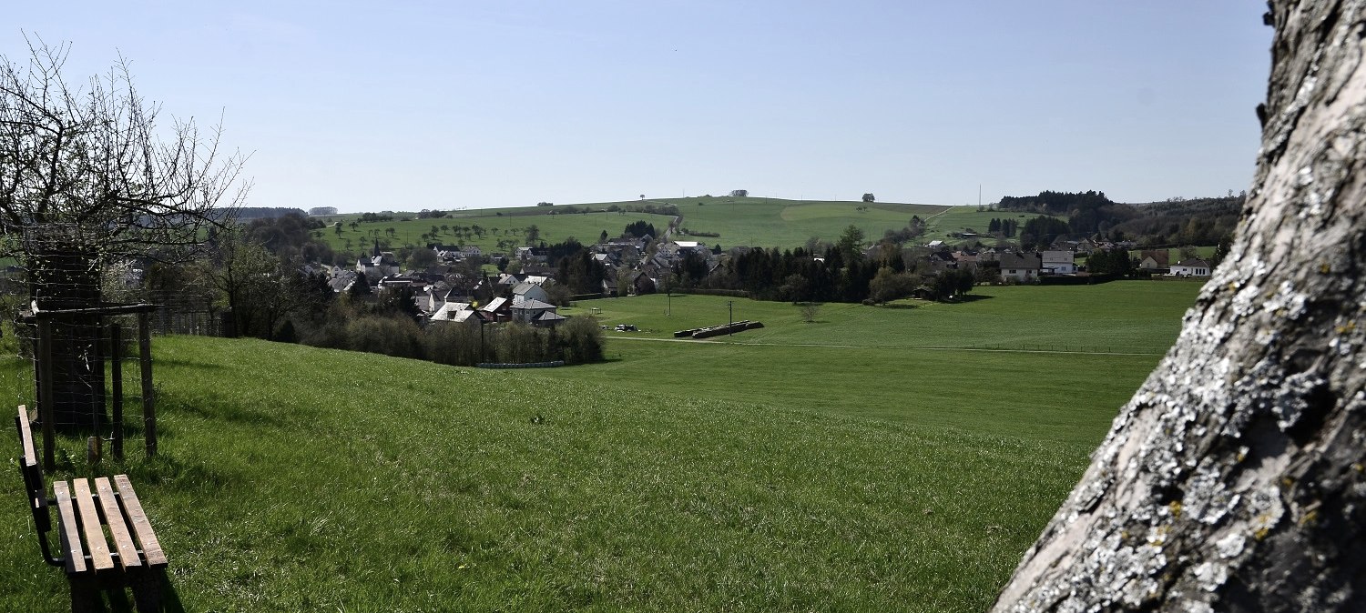 Grüne Wiesen mit einem Dorf im Hintergrund, ein Baumstamm im Vordergrund. Der Himmel ist klar und blau., © TI Bitburger Land