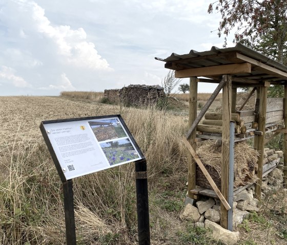 Ein Insektenlehrpfad mit Infotafel und Insektenhotel aus Holz und Stroh an einem Feldweg. Im Hintergrund ein Feld und ein bewölkter Himmel., © B. Milbach