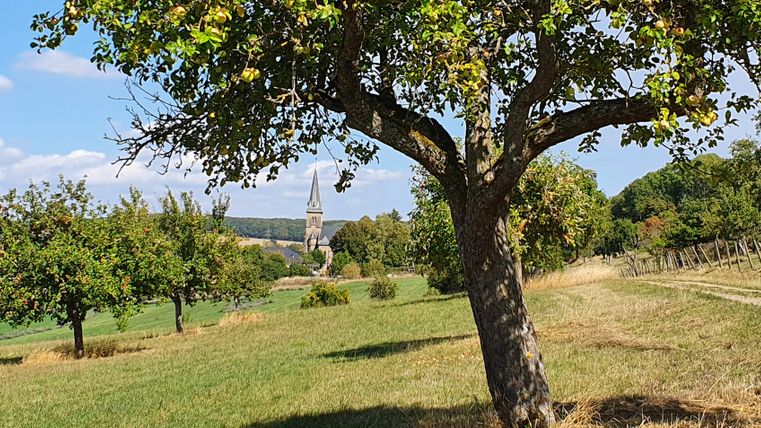 Landschaft mit Baum im Vordergrund und Kirchturm im Hintergrund.