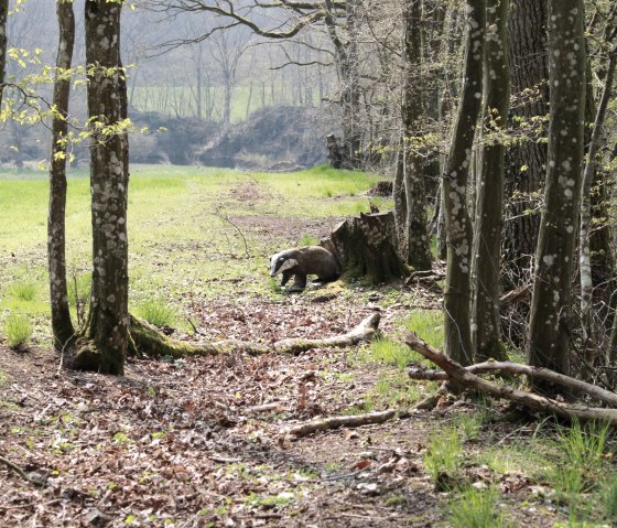 Parcours - Ziel 27, &copy; Christian Jost