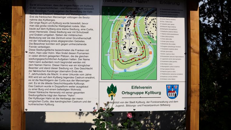 Informationstafel über den Walderlebnispfad Hahn in Kyllburg mit Karte und Text.