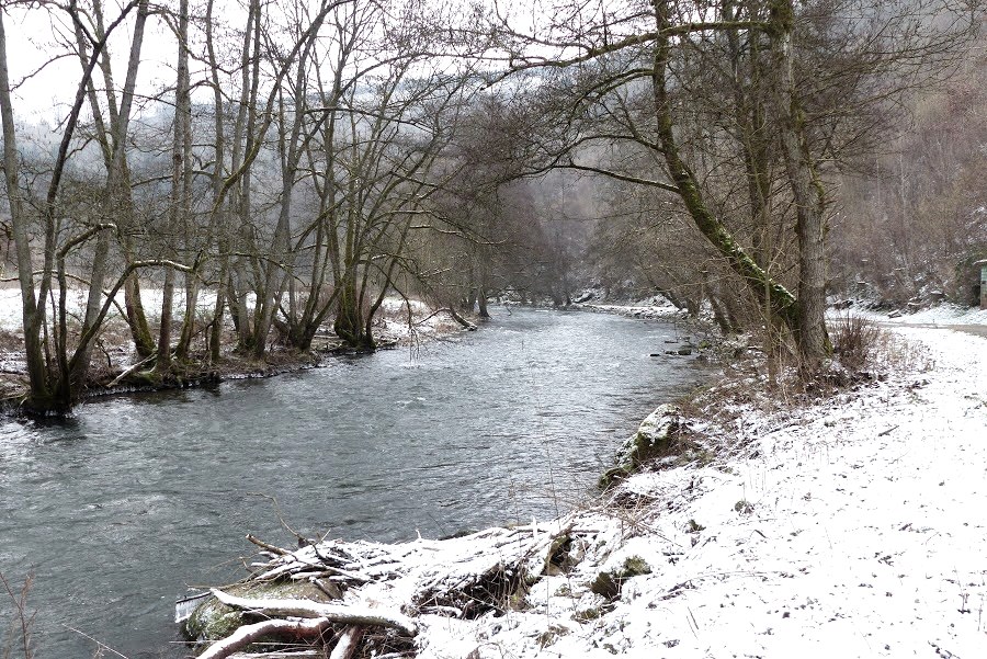 Ein verschneiter Flusslauf mit kahlen Bäumen am Ufer. Der Weg entlang des Flusses ist ebenfalls mit Schnee bedeckt., © Eifelverein Ortsgruppe Speicher