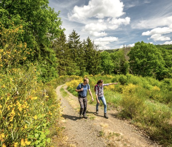 Zwei Wanderer auf einem Pfad in einer grünen Landschaft mit gelben Blumen und Bäumen unter blauem Himmel., © Eifel Tourismus GmbH, Dominik Ketz