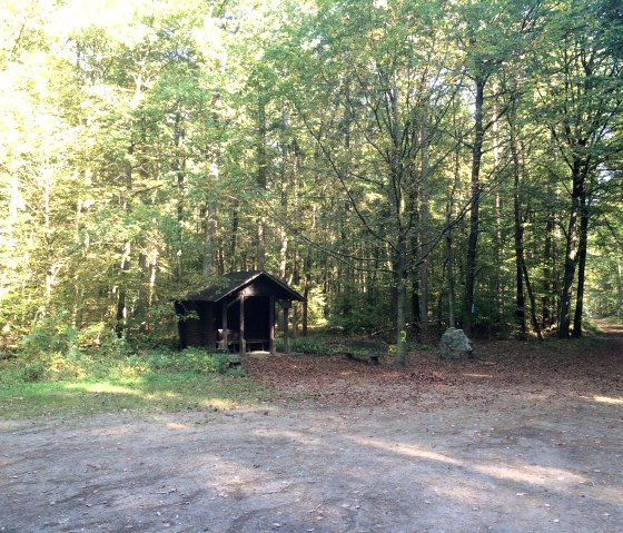 Een bospad met een kleine houten hut, omgeven door dicht loofbos. Zonlicht valt door de bomen., © Karl-Heinz Fellmann