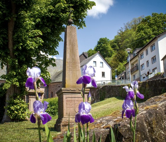 Paarse bloemen op de voorgrond, een obelisk en gebouwen op de achtergrond bij de St Maximin kerk in Kyllburg., © Tourist-Information Bitburger Land_Monika Mayer