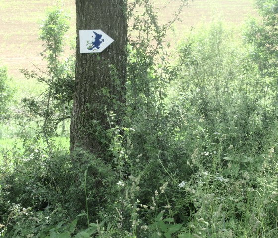 Nattenheimer Hexenweg 1, &copy; Geschichtlicher Arbeitskreis Nattenheim