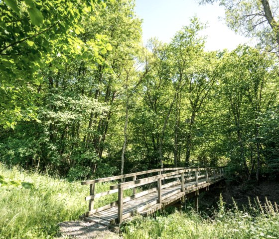Idyllic bridge on the Eifelgold route, © Eifel Tourismus GmbH, D. Ketz