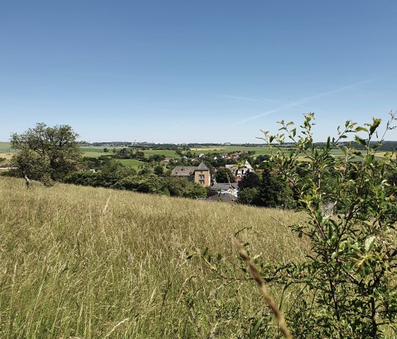 Groene weide met uitzicht op Dudeldorf en het kasteel op de achtergrond onder een strakblauwe hemel., © Tourist-Information Bitburger LandGang _ S. Wagner