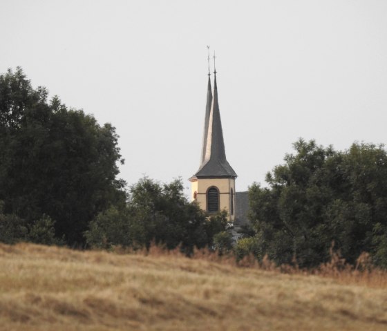 A church tower rises up behind trees, surrounded by a meadow. The sky is gray and cloudless., © Thomas Neises
