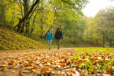 Ein Paar spaziert auf einem Weg durch einen Wald voller herbstlicher Farben. Die Umgebung ist von buntem Laub und grünen Wiesen geprägt.