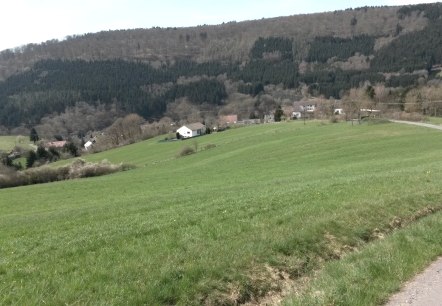 Grüne Wiesen erstrecken sich vor einem kleinen Dorf mit vereinzelten Häusern, umgeben von bewaldeten Hügeln unter blauem Himmel., © R. Schaal