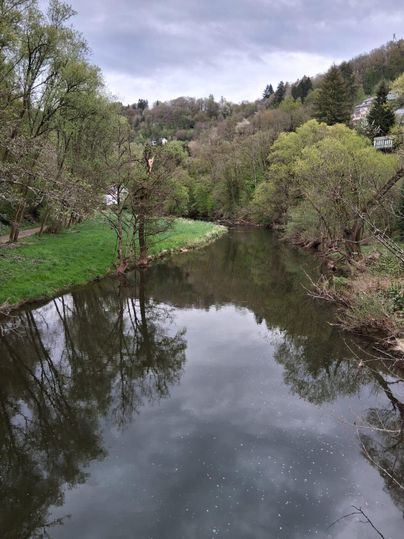 Ein ruhiger Fluss fließt durch eine grüne Landschaft mit Bäumen. Der Himmel ist bewölkt und spiegelt sich sanft im Wasser.