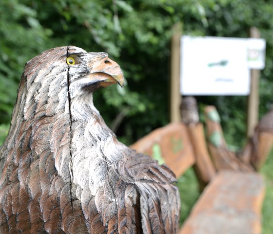 Holzskulptur eines Adlers im Vordergrund, umgeben von grüner Vegetation. Im Hintergrund ist eine Informationstafel zu sehen., © TI Bitburger Land