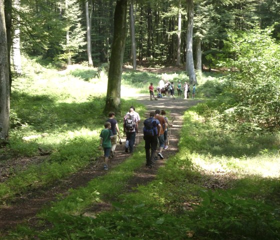 Wanderung, &copy; Norbert Heck Halsdorf