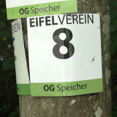 Une plaque de l'Eifelverein portant le numéro 8 et l'inscription 'OG Speicher' est fixée à un arbre., © Tourist-Information Bitburger Land
