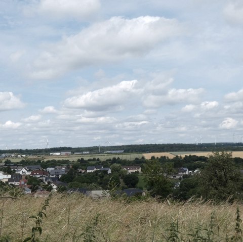 Blick auf ein Dorf mit Feldern und Windrädern im Hintergrund, unter einem bewölkten Himmel. Im Vordergrund sind Bäume und Gras zu sehen., © TI Bitburger Land