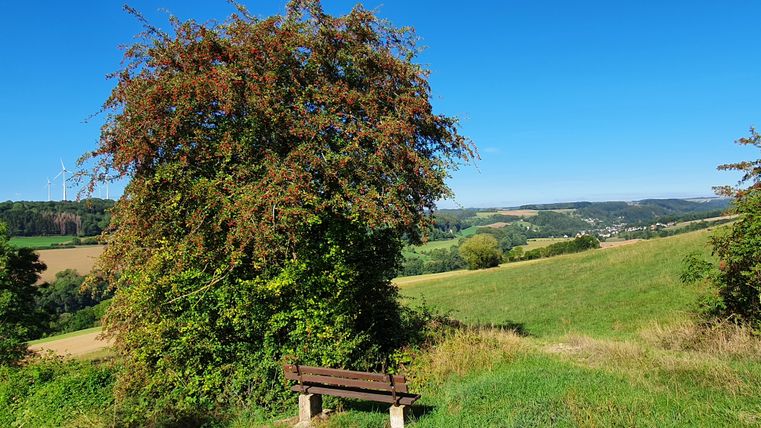 Eine Bank steht auf einer Wiese mit Blick auf eine hügelige Landschaft und Windräder im Hintergrund.