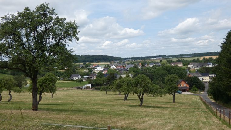 Landschaft mit Bäumen, Wiesen und einem Dorf im Hintergrund.