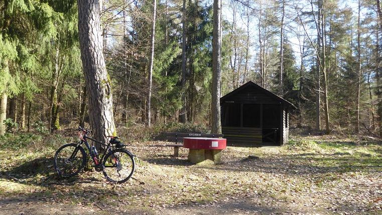 Fahrrad neben einem Baum und einer Bank im Wald, mit einer Holzhütte im Hintergrund.