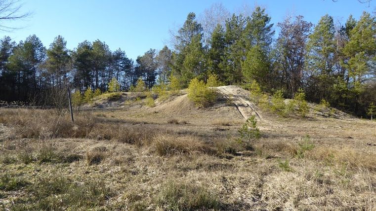 Landschaft mit sandigem Hügel und Bäumen im Hintergrund.