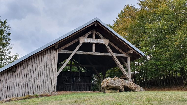 Wooden roofing of a lime kiln in Gransdorf, surrounded by trees.